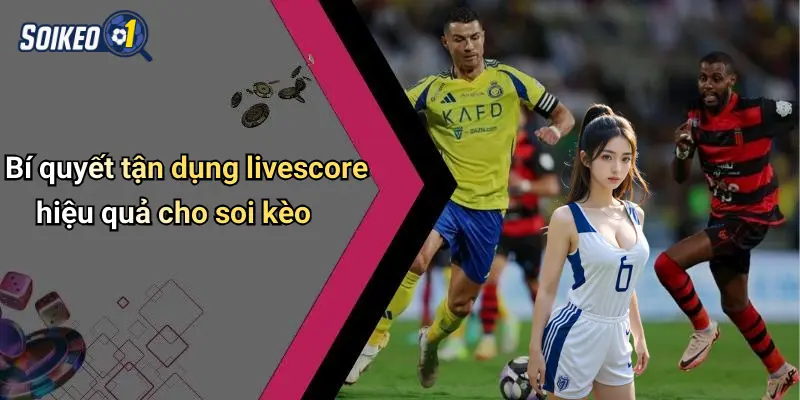 Bí quyết tận dụng livescore hiệu quả cho soi kèo