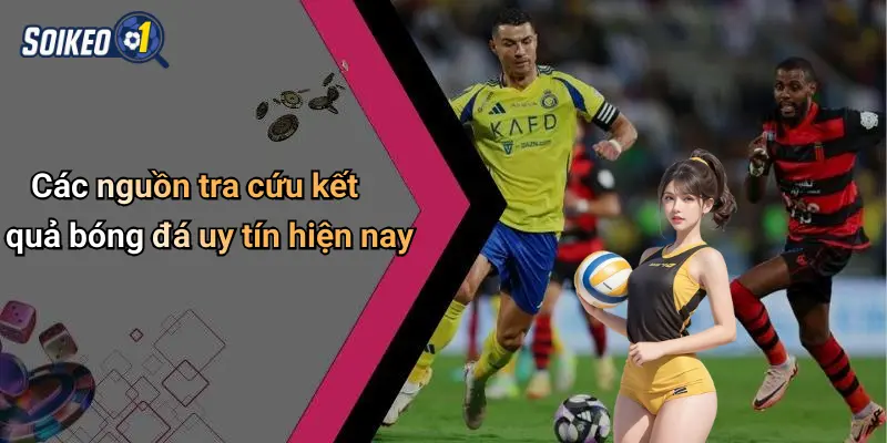 Các nguồn tra cứu kết quả bóng đá uy tín hiện nay