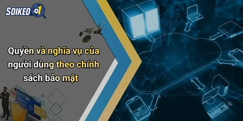 Quyền và nghĩa vụ của người dùng theo chính sách bảo mật