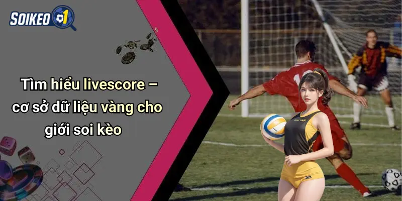 Tìm hiểu livescore – cơ sở dữ liệu vàng cho giới soi kèo