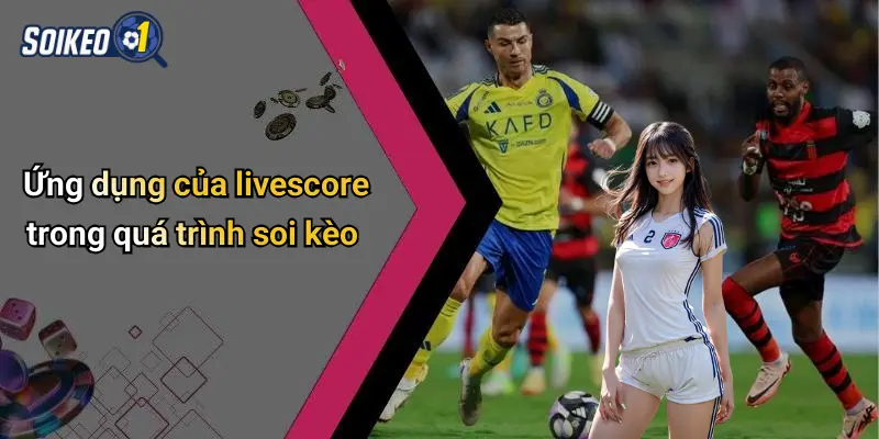 Ứng dụng của livescore trong quá trình soi kèo