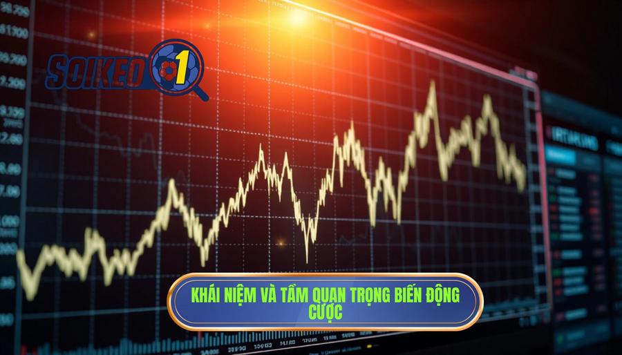 Biến động cược là gì và tại sao nó lại quan trọng?