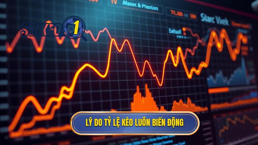 Phân tích đa chiều: Tại sao tỷ lệ kèo bóng đá trực tuyến luôn biến động?