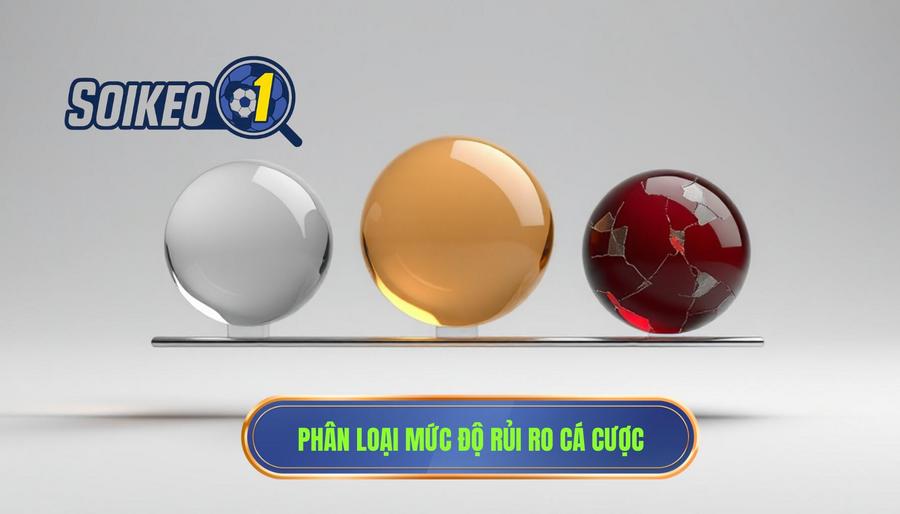 Phân loại mức độ rủi ro trong cá cược