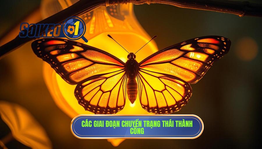 Các giai đoạn chuyển trạng thái: Chìa khóa của thành công